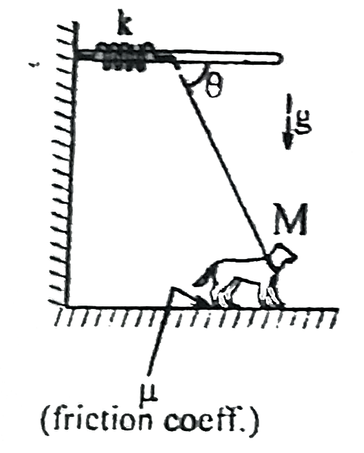 A dog with mass M has its string attached to one end of a spring which runs without friction along a horizontal overhead rod. The other end of the springs is fixed to a wall The spring constant is K. The string is massless and inextensible and it maintains a constant angle theta with the overhead rod, even when the dog moves. There is friction with coefficient mu between the dog and the gound What is the maximum distance (in cm) that the dog moving slowly can stretch the spring beyond its natural length? Use M=30 kg,K=400N//m and mu=1/3