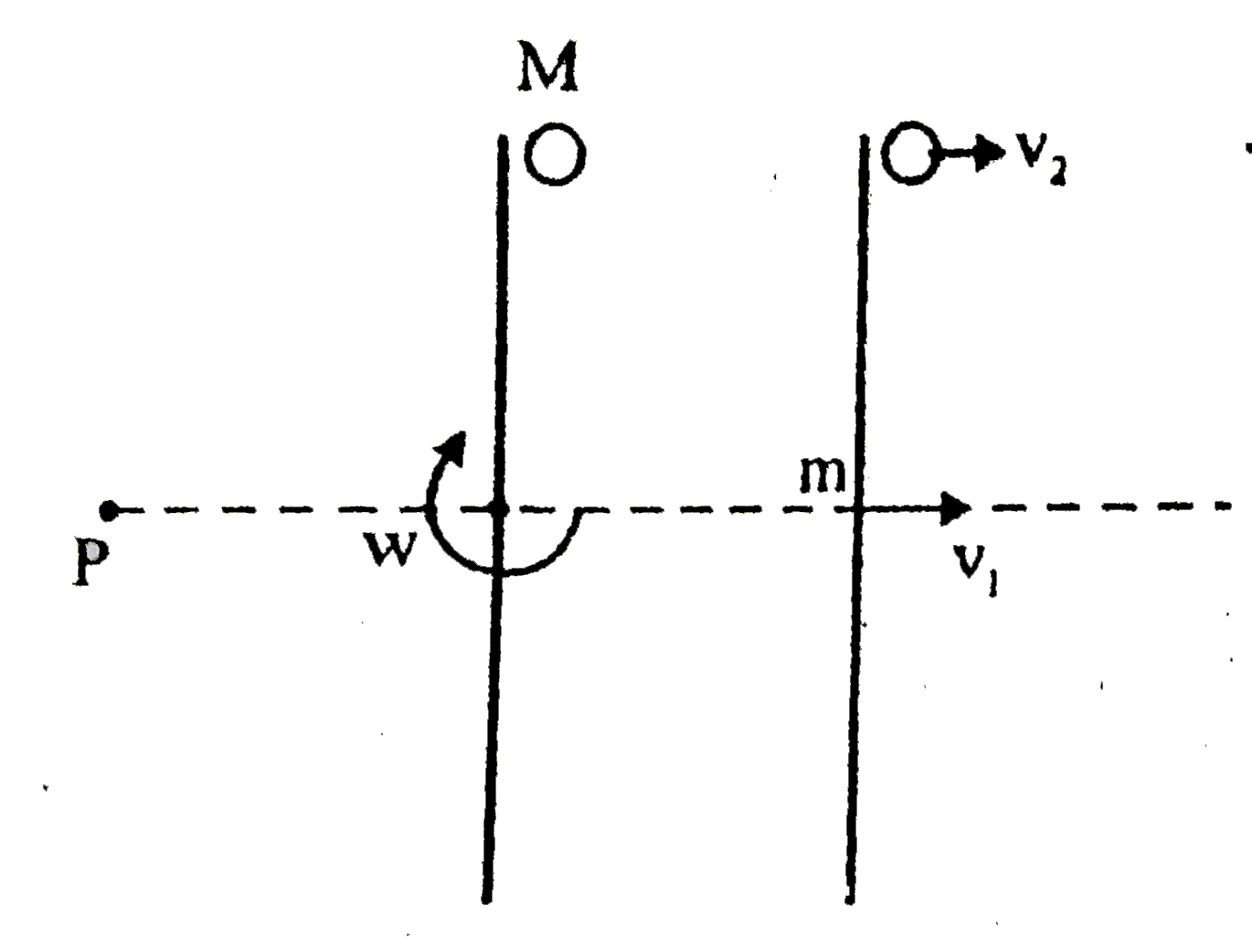 A uniform stick of mass m and length l with I=1/12 ml^(2) spins around on a frictionless horizontal plane, with its CM stationary A mass M is placed on the plane, and the stick collides elastically with it, as shown (with the contact point being the end of the stick) What should be the ratio of m//M be so that after the collision the stick has translational motion but no rotational motion?