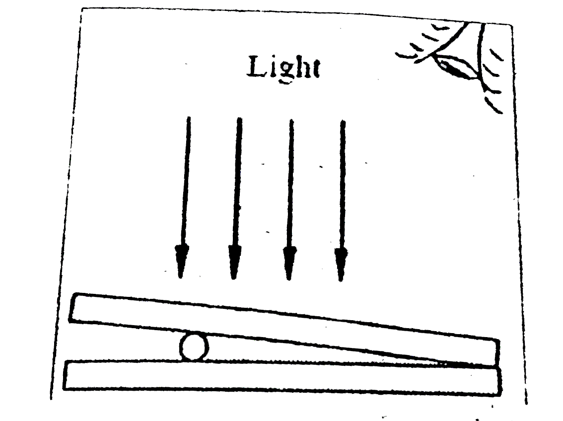 A very fine hair-like fiber is stuck between two microscope slides. As a result of this, there is a wedge of air between them. When the slides are illuminated normally (from above) with light of wavelength 550 nm. Bright and dark interference bands are formed. The fiber is seen to lie at the position of fifth dark band counting from the common edge. What is the diameter ( in nm) of the fiber?