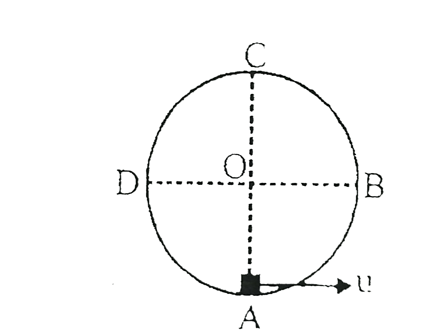 ABCD is a smooth fixed vertcal circular track. A small particle is projected tangentially from the lowermost point A of the track with speed u sqrt(4 gr) where r  is  the radius of track. AC is the vertical diameter of track, then -