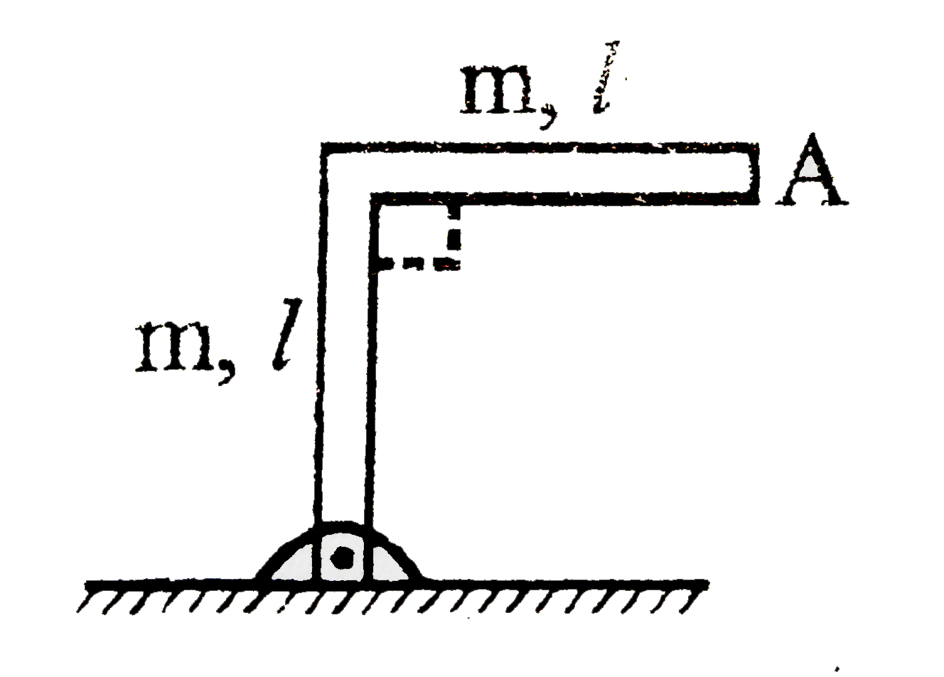 Figure shows a right angle rod (having one arm vertical and other horizontal ) . The acceleration of free end A just after the system is released in (xsqrt(2)g)/10 then x will be