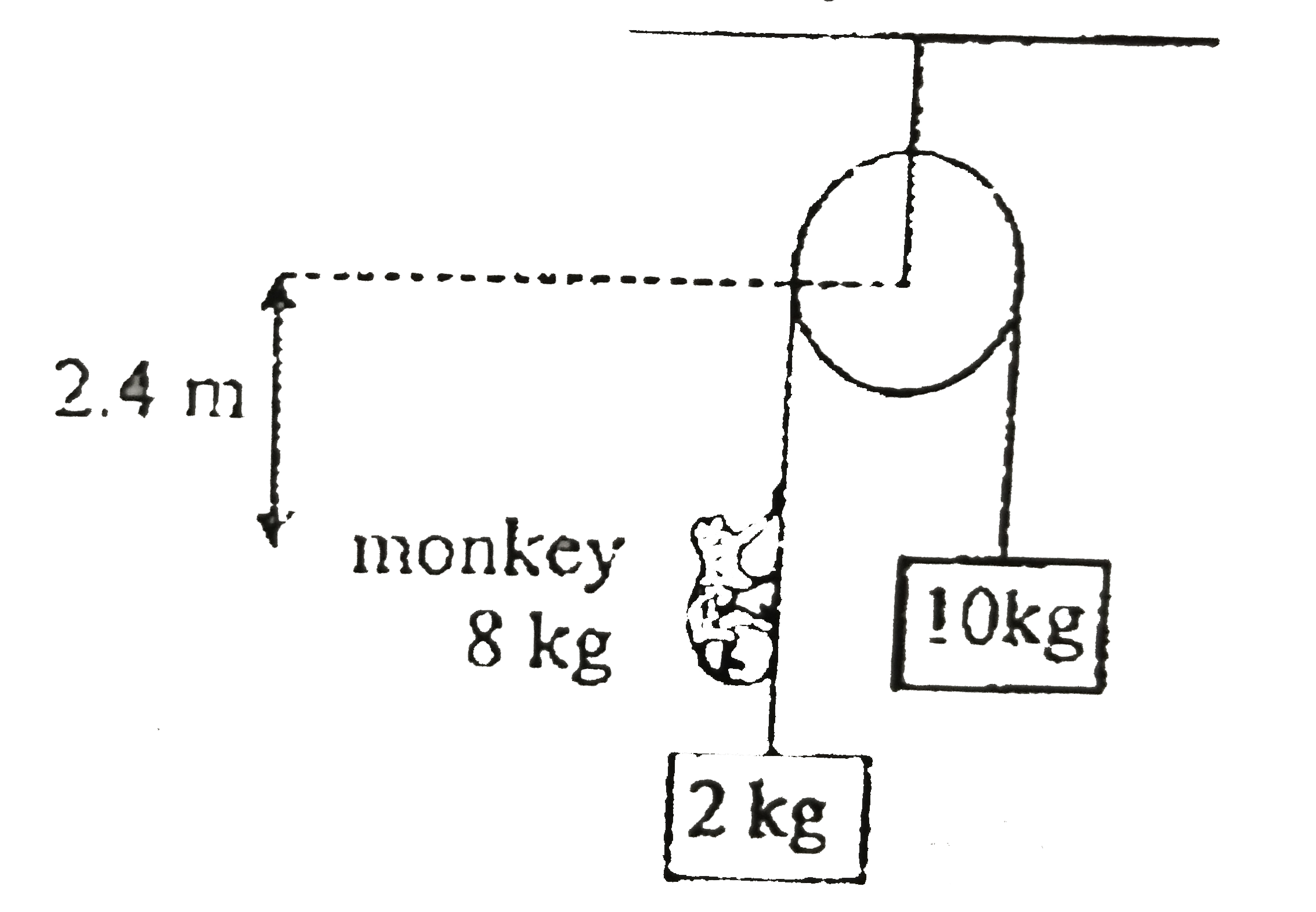 Two blocks of mass 10kg and 2kg respectively are connected by an ideal string passing over a fixed smooth pulley as shown in figure. A monkey of 8kg started climbing the string with constant acceleration 2ms^(-2) with respect to string at t=0. Initially the monkey is 2.4m from the pulley. Find the time taken by the monkey to reach the pulley.