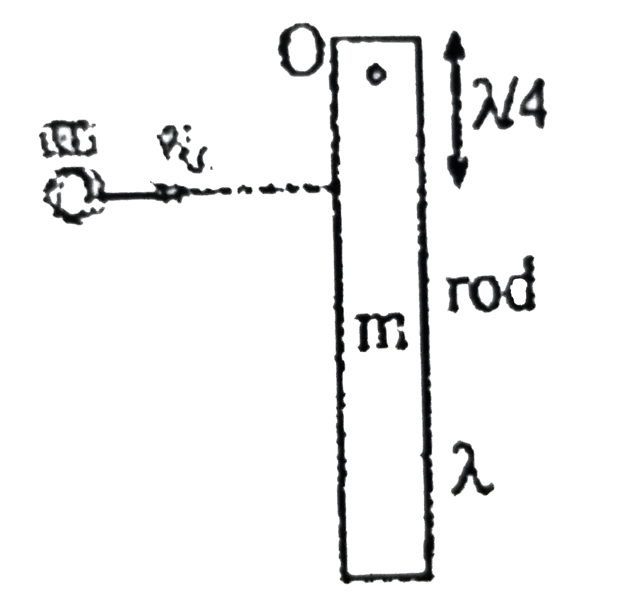 Rod of m and length l is free to rotate about point U in vertical plane. A particle having same mass m moving horizontally with velocity v(0) his the rod perpendicular at distance (l)/(4) from the top end 'O' and stops. Find impulse due to hinge on the rod due to collision.