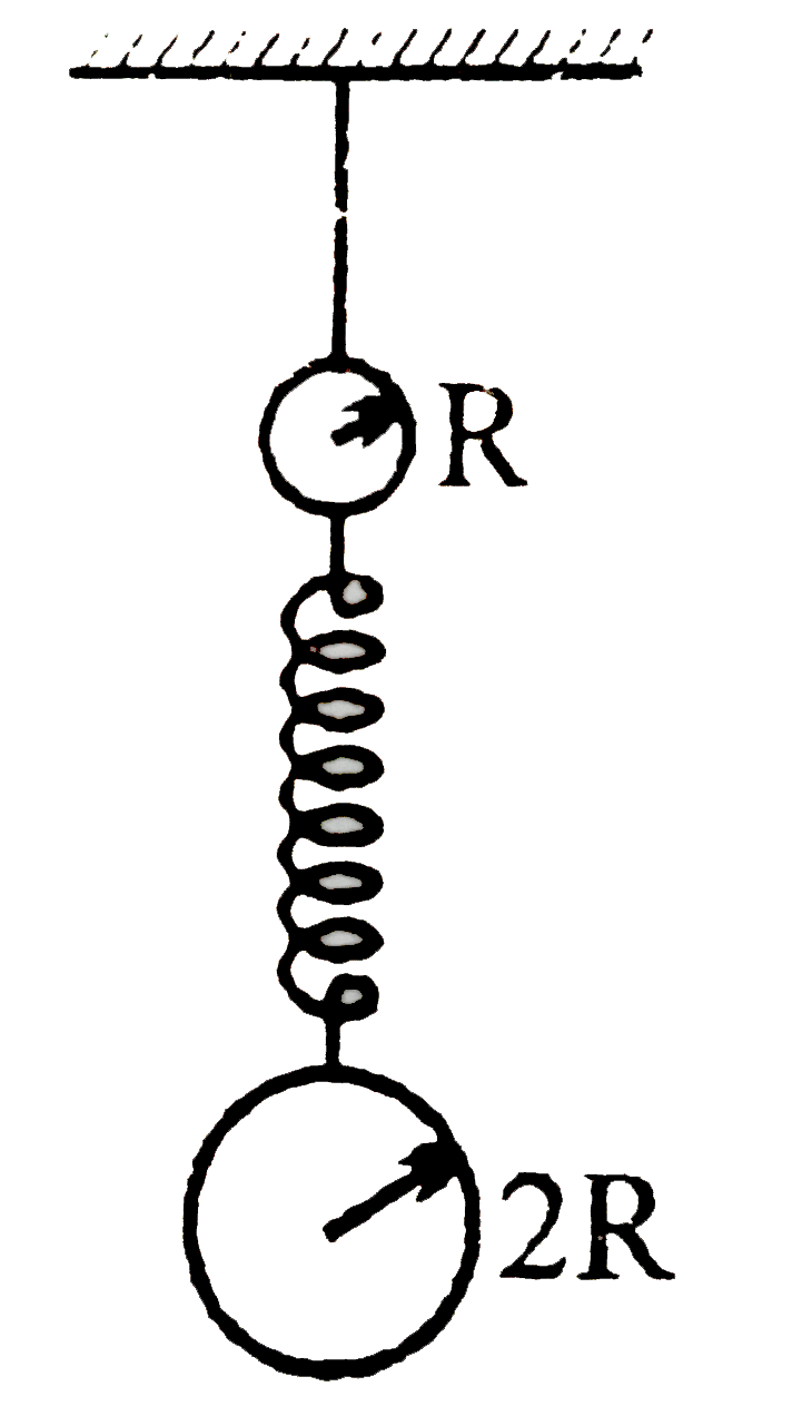 Two solid sphres of density rho each and R and 2R are hung from a spring and a thread as shown  if the thread is burnt.