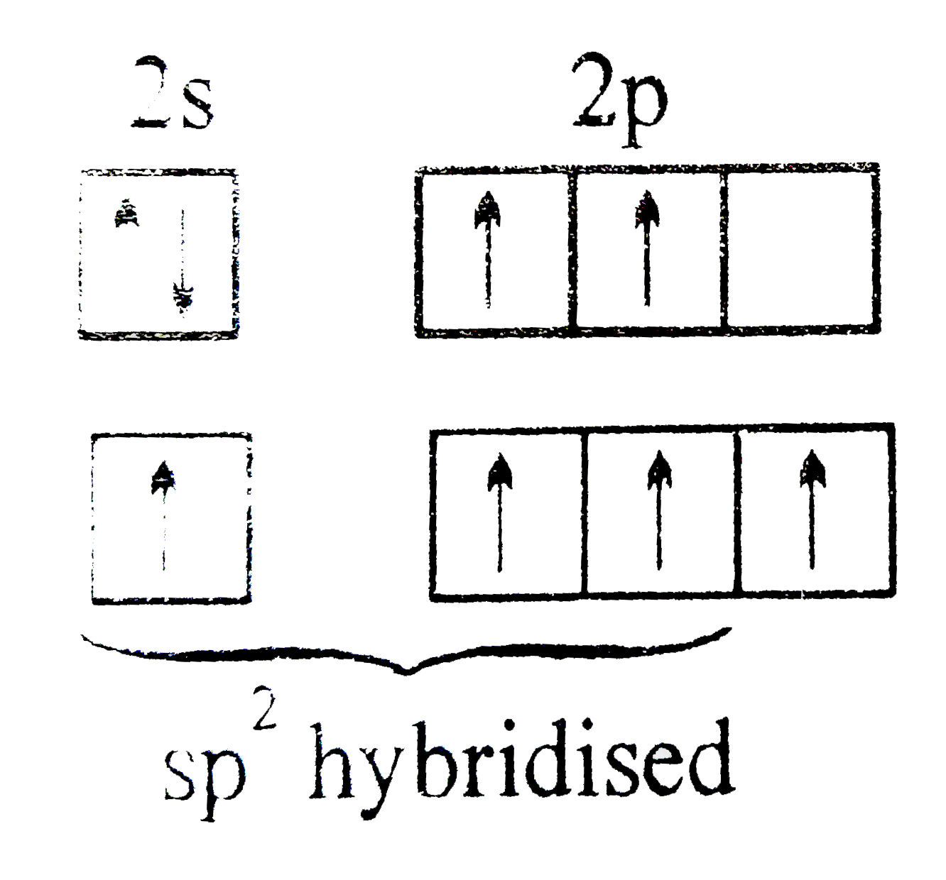 Ethylene molecules is formed as a result of sp 2 hybridisation of ca