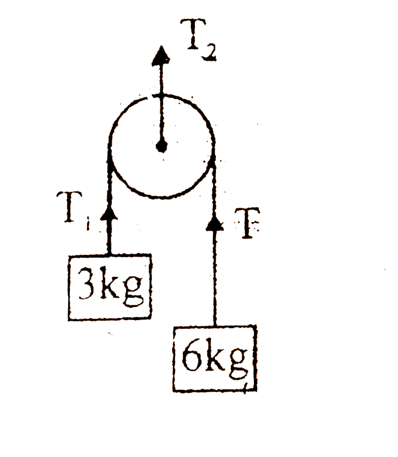 The figure shown below is a system of two masses 3 kg and 6 kg and massless pulley accelerating upwards with 2 m//s^(2). If the value of T(2) is (288)/(x)N, then the value of x is