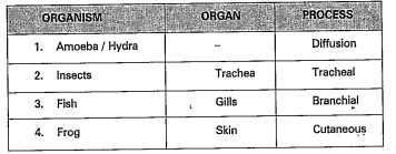 Read the following table answer the following questions.     Skin is the respiratory organ in which organisms?