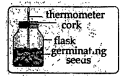 The following experiment is set up to show that the heat is given out during respiration But there is no rise in the thermometer This is because