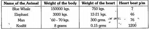 Observe the table given below and analyse the questions. 



   

 (i) What is the relation between weight of the body and weight of the heart of an animal? 
(ii) What is the relationship between weight of the heart and rate of heart beat?