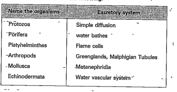 Read the table and answer the following.   3. In sea cucumber what are the excretory organs?