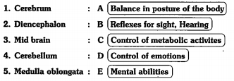 i) Correct the mismatch table.  ii) How are various metabolic activities controlled?