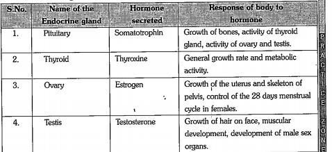 Obseve the following table and answer the following questions given below.   d) If testosterone is not secreted in human what consequence does occur