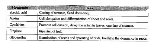 Read the following table and answer the questions given below.  a) Which hormone controls the function of stomata?