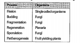 Read the following table and answer the following.  In which organisms we observe binary fission?
