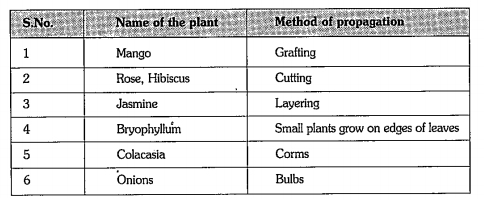 Analyze the following information and answer the following questions.  What are the advantagesof propagating plants with the above given methods?