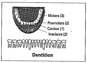 Observe the diagram and answer the following.