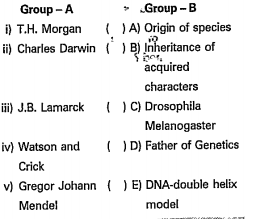 Match the following