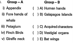 Match the following