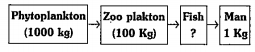 How much of weight is entered into the body of fish as per the given flow chart ?