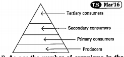Observe the pyramid of number which is given below and answer the questions. As per the number of organisms in the tropic level, which group of organisms are more in number and which are less in number ?