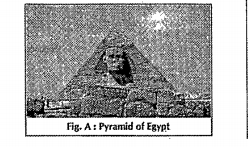 Observe the pictures given below. Fig A indicates pyramid of Egypt and Fig B indicates Ecological pyramid. Explain which type of ecological pyramid is this . Name some kinds of ecological pyramids..