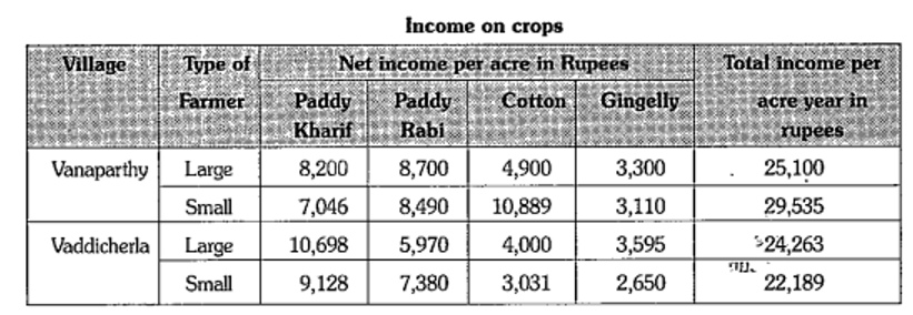 Which crop could replace paddy and be profitable as well for a small farmer in Vanaparthy ?