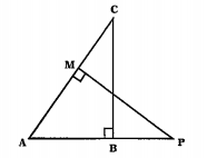triangle ABC ~ traingle AMPare two right triangles right angled at B and M respectively.  Prove that  triangle ABC ~ triangle AMP