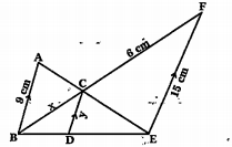 Observe the below diagram and find the values of x and y.
