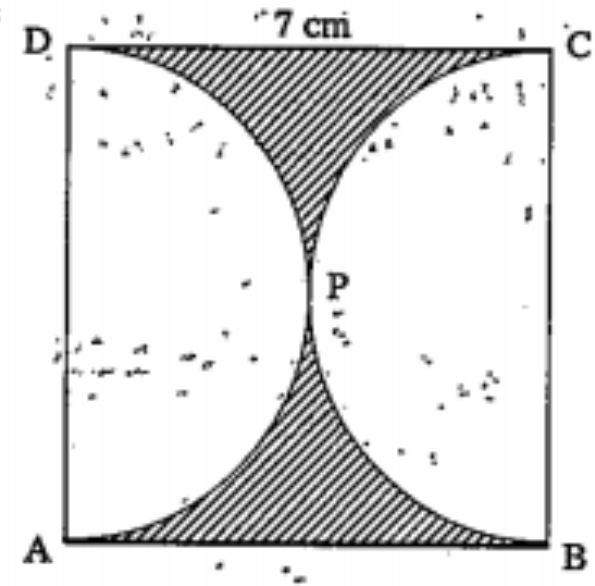Find the area of the shaded region in the figure. If ABCD is a square of side 7 cm and APD and BPC are semi-circles.