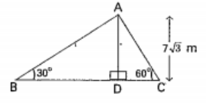 In the figure given below, if AD = 7 sqrt 3 m, then BC = …………..m.