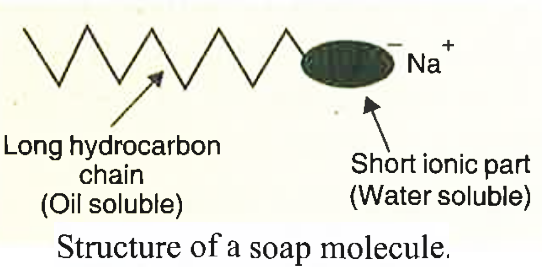 ocr_image