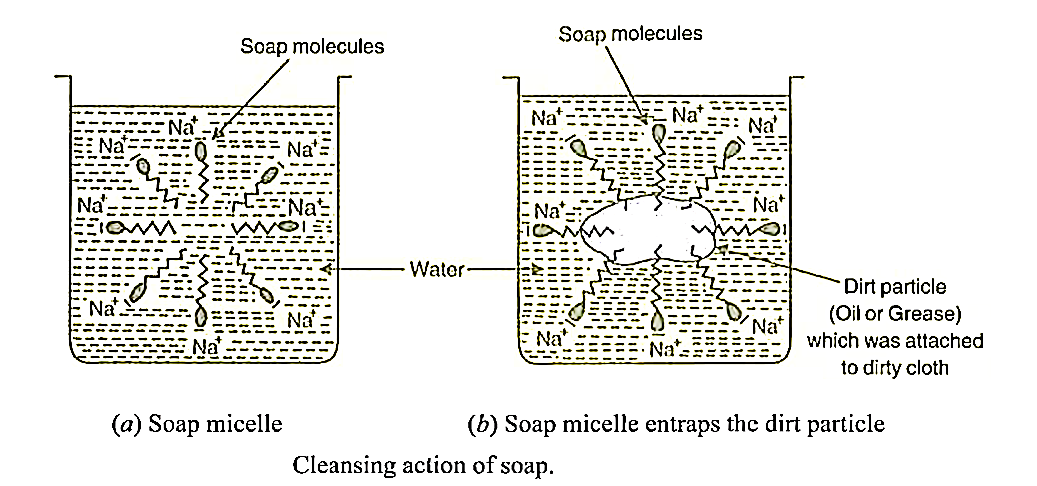 ocr_image