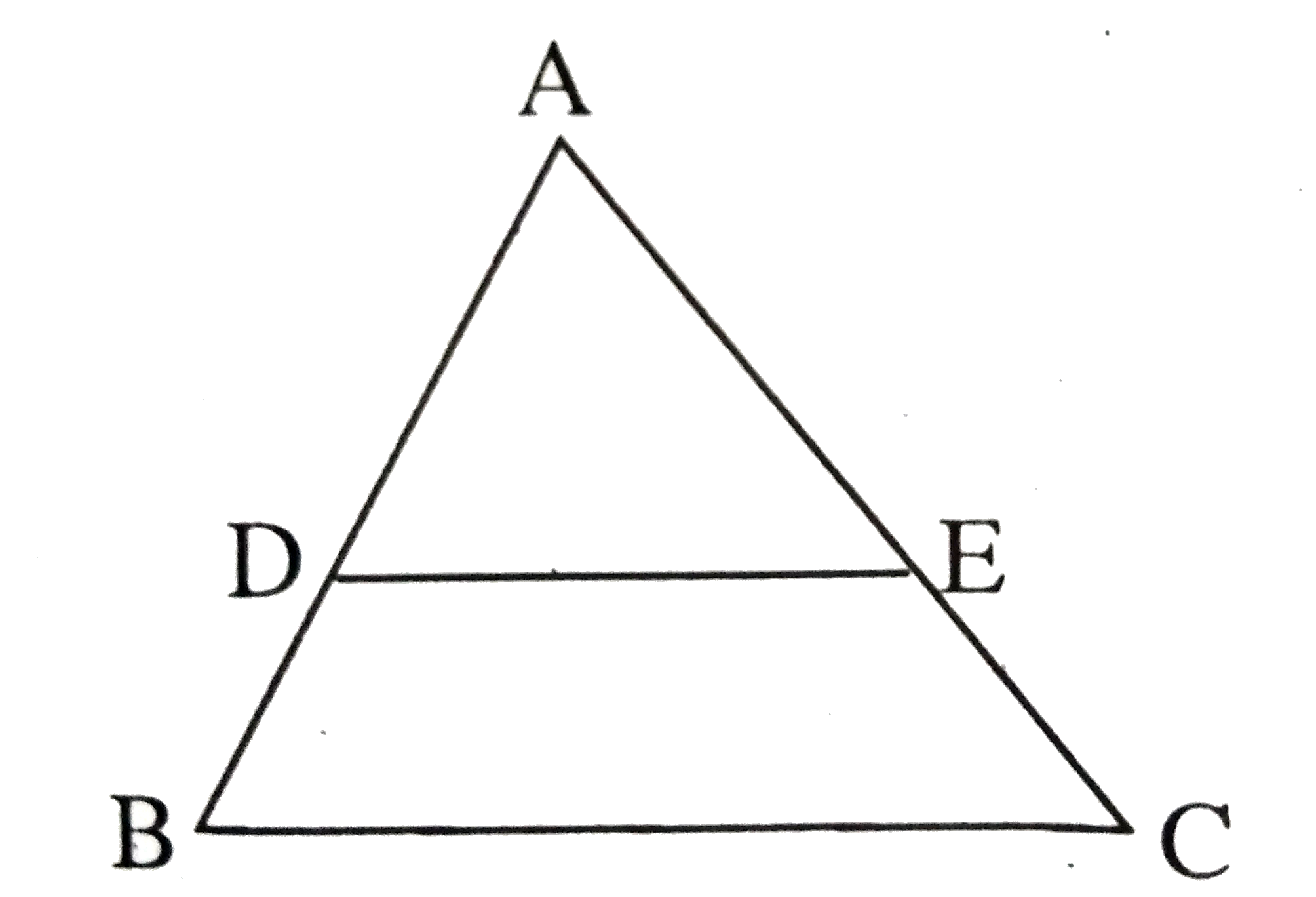 Two similar triangles are always congruent.