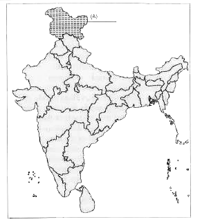(a) One item A is shown in the given political outline map of India. Identify this item with the help of following information and write its correct name on the line marked on the map. (A) A Type of Soil   (ii) On the same political outline map of India, locate and label the following items with appropriate symbols.   (B) Sariska Wildlife Sanctuary   (C) Salal Dam   (30.3) In which State is Salal dam located?