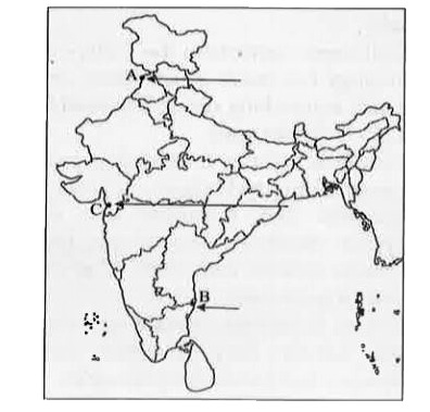 Three features A, B and C are marked on the given political outline map of India. Identify these features with the help of the following information and write their correct names on the lines marked on the map    A. The city associated with the Jallianwala Bagh incident.    B. The place where the Indian National Congress session (1927) was held.   C. The place where Gandhiji violated the salt Law.