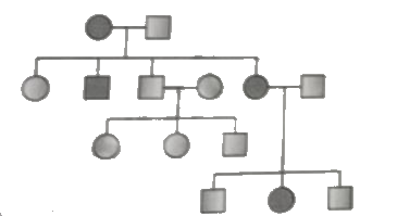 Study the pedigree analysis of human given below and identify the type of inheritance along with an example :