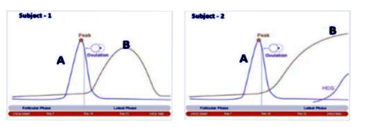 To answer the questions, study the graphs below for Subject 1 and 2 showing differentlevels of certain hormones.       The peak observed in Subject 1 and 2 is due to