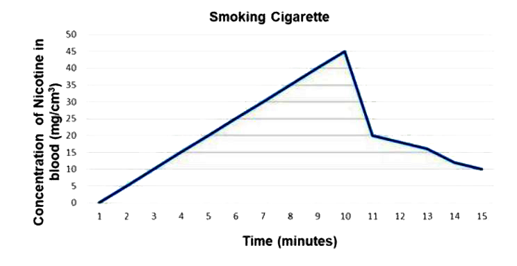 The data below shows the concentration of nicotine smoked by a smoker taking 10 puffs/ minute.       With reference to the above graph explain the concentration of nicotine in blood at 10 minutes.