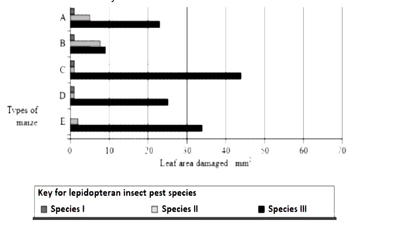 Insects in the Lepidopteran group lay eggs on maize crops. The larvae on hatching feed on maize leaf and tender cob. In order to arrest the spread of three such Lepidopteran pests, Bt maize crops were introduced in an experimental field. A study was carried out to see which of the three species of lepidopteran pests was most susceptible to Bt genes and its product. The lepidopteran pests were allowed to feed on the same Bt-maize crops grown on 5 fields (A-E).   The graph below shows the leaf area damaged by these three pests after feeding on maize leaves for five days.       Insect gut pH was recorded as 10, 8 and 6 respectively for Species I, II and III respectively.   Evaluate the efficacy of the Bt crop on the feeding habits of the three species of stem borer and suggest which species is least susceptible to Bt toxin.