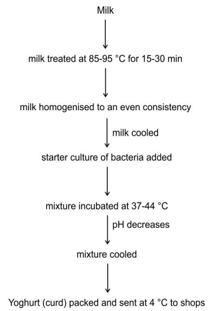 Given below is the step-by-step process in the formation of yoghurt (curd) in a bioreactor.      (a) Why does the pH start decreasing a while after the mixture is incubated at 37-44 °C?  (b) From the flowchart, identify two systems that the bioreactor would have. Give a reason to support your answer.