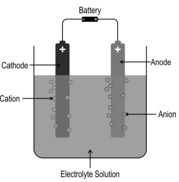electrolyte diagram