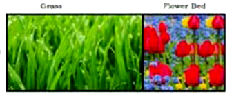 Riya has a field with a flowerbed and grass land. The grass land is in the shape of rectangle while flowerbed is in the shape of square. The length of the grassland is found to be 3 m more than twice the length of the flowerbed. Total area of the whole land is 1260 m^(2).      What is the value of x if the area of total field is 1260 m^(2).