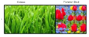 Riya has a field with a flowerbed and grass land. The grass land is in the shape of rectangle while flowerbed is in the shape of square. The length of the grassland is found to be 3 m more than twice the length of the flowerbed. Total area of the whole land is 1260 m^(2).      What is the ratio of area of flowerbed to area of grassland ?