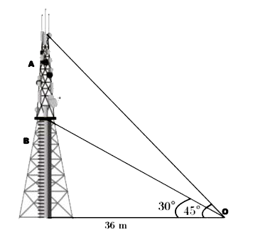 Radio towers are used for transmitting a range of communication services including radio and television. The tower will either act as an antenna itself or support one or more antennas on its structure, including microwave dishes. They are among the tallest human-made structures. There are 2 main types: guyed and self-supporting structures.   On a similar concept, a radio station tower was built in two sections A and B. Tower is supported by wires from a point O . Distance between the base of the tower and point O is 36 m. From point O , the angle of elevation of the top of section B is 30^(@) and the angle of elevation of the top of section A is 45^(@).      On the basis of the above information, answer any four of the following questions :   What is the height of the aection A ?