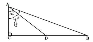 In the given figure, D is the mid-point of BC, then the value of (cot y^(@))/(cot x^(@)) is