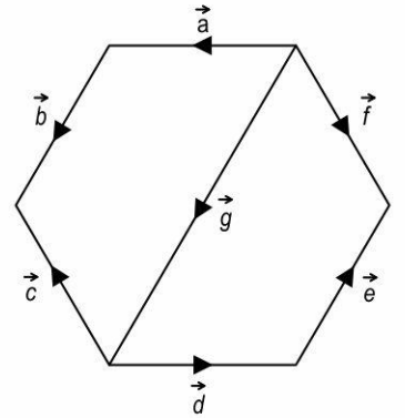Shown below is a regular hexagon whose two vertices are joined by a vector.      Which of the statement(s) is/are true?   (i) vec a and vec d are equal vectors. <b> (ii) vec b and vec e are collinear vectors.   (iii) vec c, vec d and vec g are coinitial vectors.