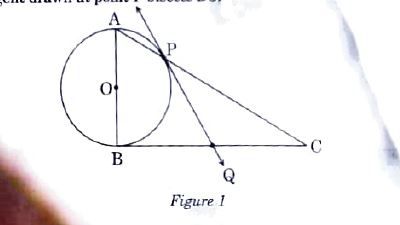 In Figure 1 , a triangle ABC with angleB = 90^@ is shown. Taking AB as diameter , a circle has been drawn intersection AC at point P . Prove that the tangent drawn at point P bisects BC.