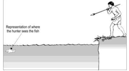 A hunter sees a fish which is swimming in clear water as shown in the figure.      To hit the fish, he should take aim adjusting for the fish's motion and