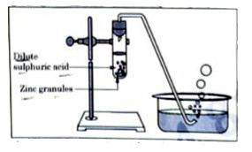 Study the diagram given below and identify the gas formed in the reaction
