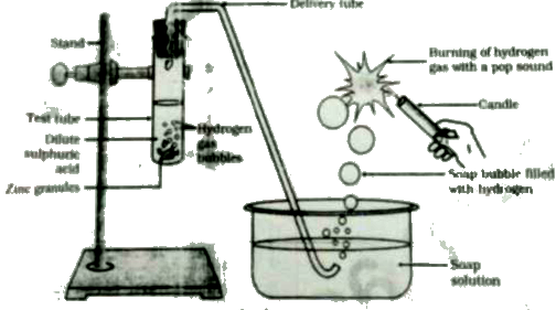 In the following diagram, what would happen if some amount of sodium hydroxide is taken in place of sulphuric acid and the test tube is heated :